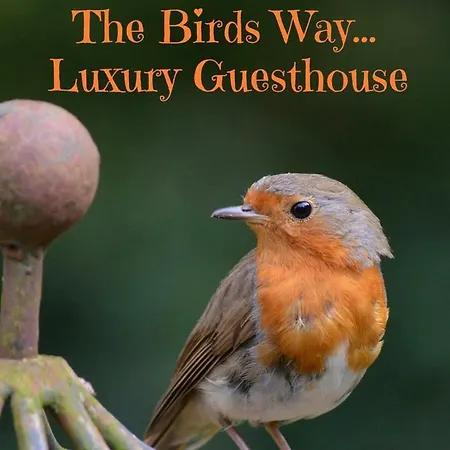 Pensionat The Birds Way